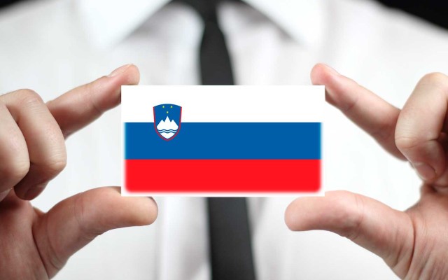 ВНЖ в Словении: через регистрацию компании