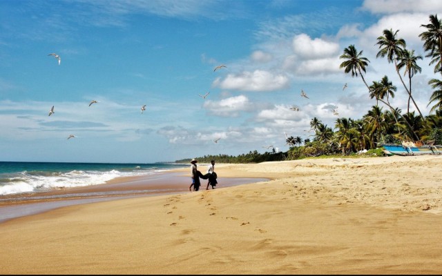 Шри-Ланка готова выдавать туристические визы по прибытию бесплатно