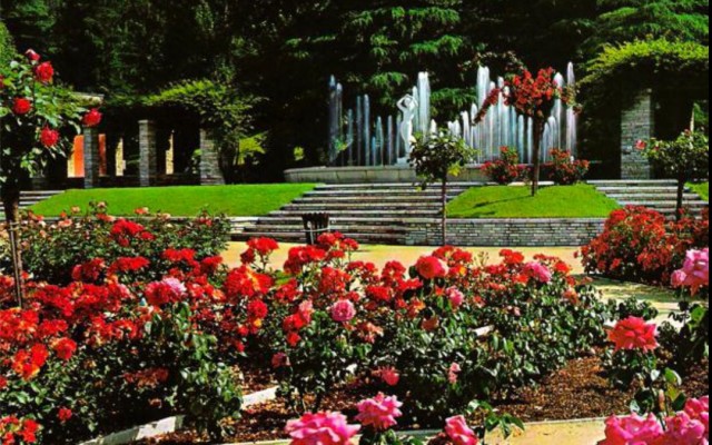 Мадрид в розовом цвете: Лучшие места для наслаждения цветением роз